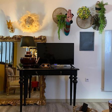 Appartement Cosy Le Safari Avec Wifi Annonay Bagian luar foto