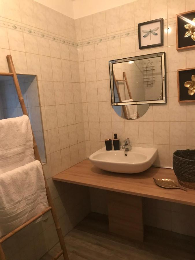 Appartement Cosy Le Safari Avec Wifi Annonay Bagian luar foto