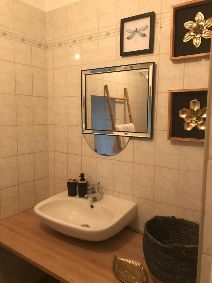 Appartement Cosy Le Safari Avec Wifi Annonay Bagian luar foto