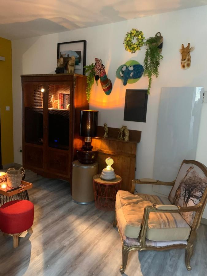 Appartement Cosy Le Safari Avec Wifi Annonay Bagian luar foto