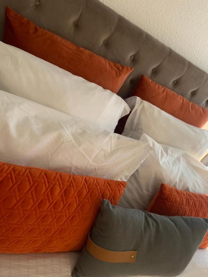 Appartement Cosy Le Safari Avec Wifi Annonay Bagian luar foto